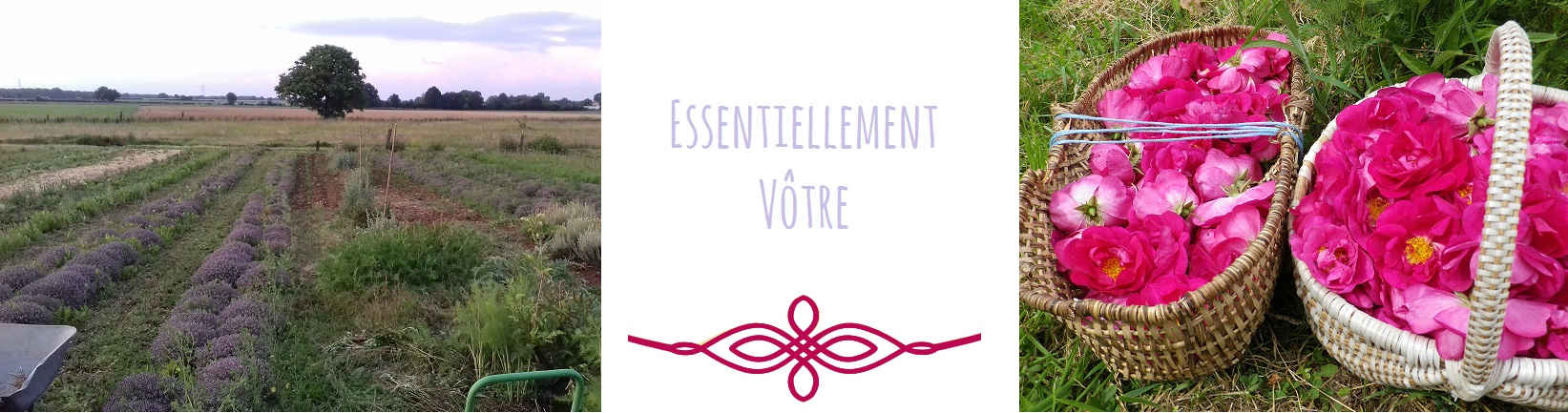 Essentiellement vôtre